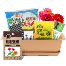 월드가드닝 베란다 채소키우기 텃밭세트 9종 커피컬러, 고급꽃씨-백일홍