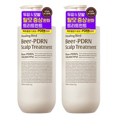 힐링버드 비어 피디알엔 두피 트리트먼트, 1L, 2개