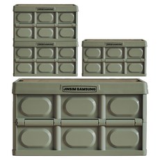 JINSIMGAMSUNG 多用途折疊收納箱, 抹茶綠, 4入