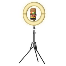 JOYTRON RGB折疊式環形燈 30cm + 智慧型手機支架三腳架套組, 1套, LD50F