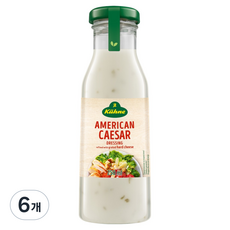 퀴네 아메리칸 시저 드레싱, 6개, 250ml