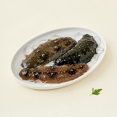 남해안 산지직송 자연산 생물 해삼 (냉장), 500g, 1개