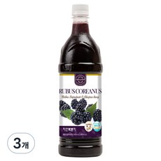 차전 자연에서온 복분자 원액, 900ml, 3개