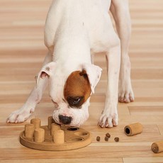 Nina Ottosson 狗狗智能複合益智玩具, 單一顏色, 1個