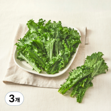 친환경 치커리, 300g, 3개