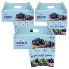 황금이네 블루베리즙, 70ml, 90개