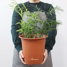 MORIANN 陶土塑膠花盆 4入, 單一顏色, 4個