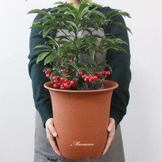 MORIANN 陶土塑膠花盆, 單一顏色, 2個