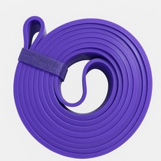 투그램플러스 고급형 헬스 턱걸이 풀업밴드 4단계, 04 퍼플, 1개