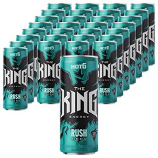 핫식스 더킹 러쉬 탄산음료, 355ml, 48개