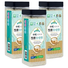 김화농협 GAP인증 두루웰 철원오대쌀 백미, 상등급, 1kg, 3개