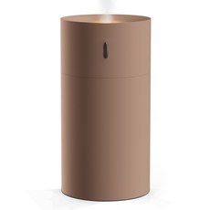 하이온 휴대용 무드등 USB 미니 가습기, G6-LR, 브라운