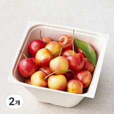 아주마 국내산 산지직송 영동 레이니어 체리, 250g, 2개