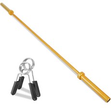 아리프 STEEL MAX 600 중량 탄력봉 2200mm + 스프링 마구리 2p, 골드(탄력봉), 1세트