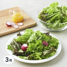 All바른농장 레디쉬 & 유러피안 샐러드 믹스, 200g, 3개