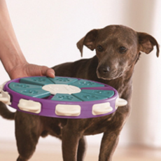 Nina Ottosson 狗狗圓盤嗅聞玩具, 混色, 1個