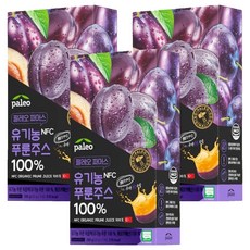 paleo NFC李子汁隨身包 14條入, 3盒, 280g