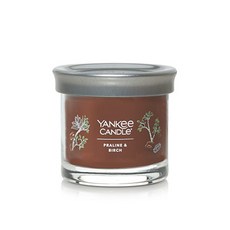 양키캔들 시그니처 텀블러 S, 프랄린앤버치, 122g, 1개