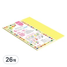 종이문화 스타일리쉬 두꺼운 혼합색지 02 SN Tone 205g, 26개, A3