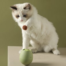 Cookie Kat Cat 自動旋轉 Ottogi 玩具, 綠色, 1個