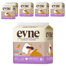이브네 입는 오버나이트, 중형, 6개입, 6개