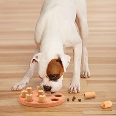 Nina Ottosson Dog Smart Composition 環保益智嗅聞玩具 狗狗 貓咪 IQ玩具 23 x 23 x 5.8 cm, 混合色, 1個