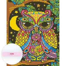 DCLARE DIY 布料型鑽石畫材料包套組 50 x 40 cm, F2001 神秘貓頭鷹, 1套