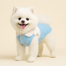 랜보어 반려동물 카라 누빔 극세사 조끼, 블루, 1개