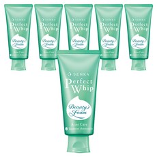 센카 퍼펙트 휩 아크네 케어 에프 클렌징폼, 100g, 6개