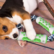 DING DONG PET 狗狗深層清潔拉扯牙刷 50 x 150 mm, 綠色, 1個