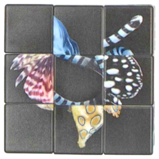 Silverback 魔術方塊 - (3x3), 危險水中生物, 1個