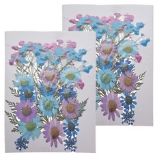 A-ONE 匯旺 真花壓花包 中花包-衍出於藍 BB06 2入, 青出於藍, 2包