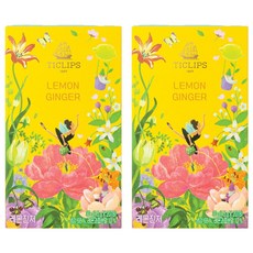 SSANGGYE 檸檬薑茶茶包, 1.5g, 20包, 2盒