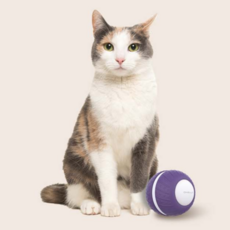 ABKO OELLA 貓咪自動滾動球 PP03, 混合顏色, 1個