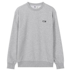 NBA 男女通用 小Logo 大學T N253TS955P