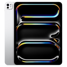 Apple 2025 아이패드 프로 13(M5 모델) Nano-texture 글래스, 실버, 1TB, Wi-Fi+Cellular