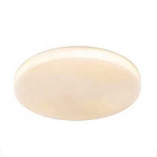 Honey Comb LED 24W 浴室陽台小空間 自然光 節能吸頂燈, 白色