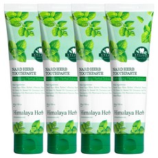 나드 부케가르니 구취케어 치약, 200g, 4개