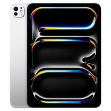 Apple 2025 아이패드 프로 11(M5 모델) 스탠다드 글래스, 실버, 1TB, Wi-Fi 실버, 1TB, Wi-Fi