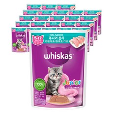 위스카스 주니어 고양이 주식파우치, 참치, 80g, 24개