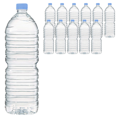 모닝캄 생수 무라벨, 12개, 2L