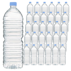 모닝캄 생수 무라벨, 36개, 2L