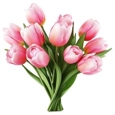 人造花 仿真鬱金香 34cm 12g, 全粉色, 10支