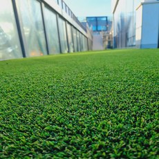 貝斯特格林 固森國際 春季雙色人造草皮捲 PX2000KL 100cm x 100cm, 人造草坪, 1 個, 1個