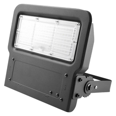 EVERLIGHT 億光 星宇LED 戶外 防水 投光燈 50W 全電壓, 1個