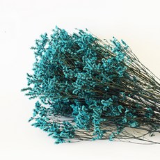 GAPANG 霧藍乾花DRYB167, 01（藍色）