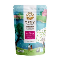 Yeongonongjang 烘焙手指薑三角茶包 100入, 1g, 1個