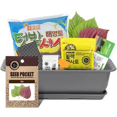 월드가드닝 베란다 채소키우기 텃밭세트 9종 다크그레이, 깻잎
