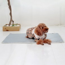 더플래 강아지 쿨매트, 1개