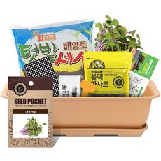 월드가드닝 베란다 채소키우기 텃밭세트 9종 커피컬러, 새싹-케일
